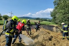 20250810-b1-brand-13-2