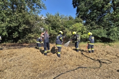 20250810-b1-brand-13