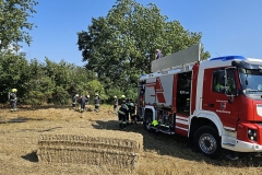 20250810-b1-brand-18