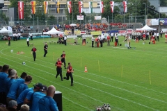 img-7551