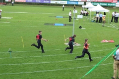 img-7554