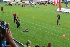 img-7557