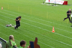img-7561