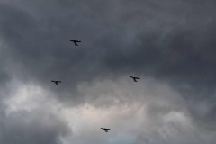 img-7601