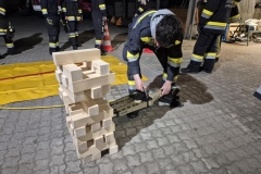 20260320_fingerspitzen-10