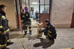 20260320_fingerspitzen-6