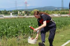 img-8547