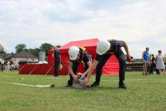 img-8753