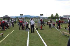 img-8910