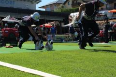 img-9237