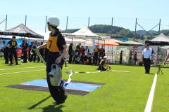 img-9088