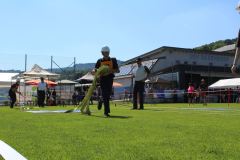 img-9271