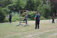 img-9543