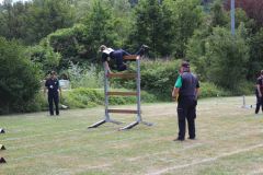 img-9547