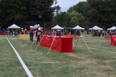 img-9696