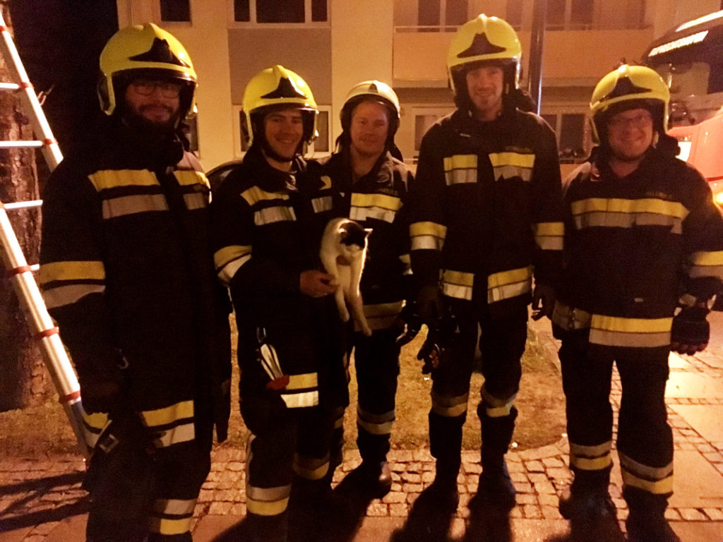 EINSATZ - TIERRETTUNG