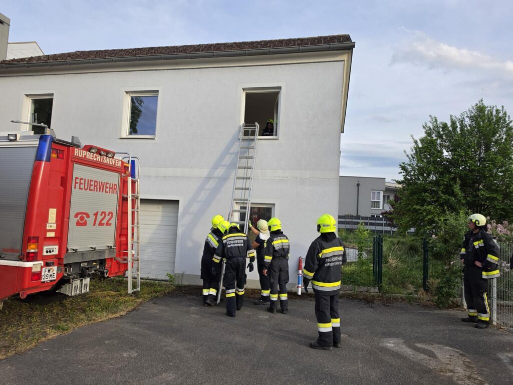 TECHNISCHE SCHULUNG - HANDHABUNG VON LEITERN
