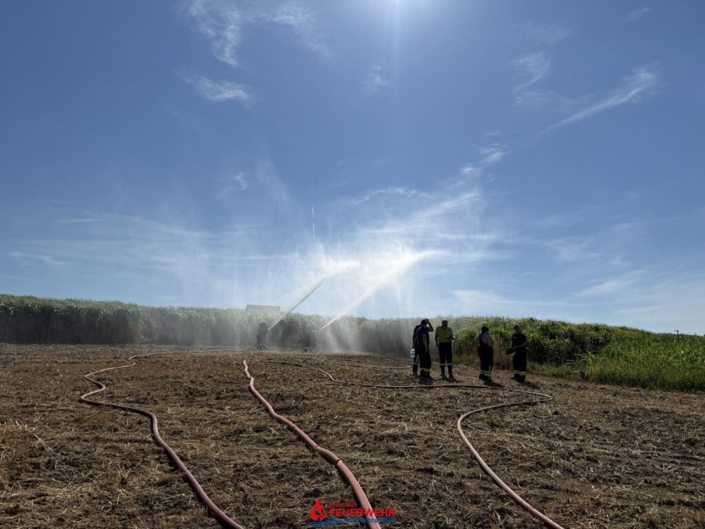 B1- VEGETATIONSBRAND IN SCHWEINING